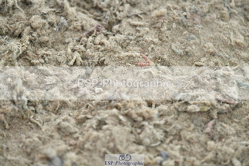 230721A-102907-05165 - Cls 30, 6 Yr Olds 1.20m