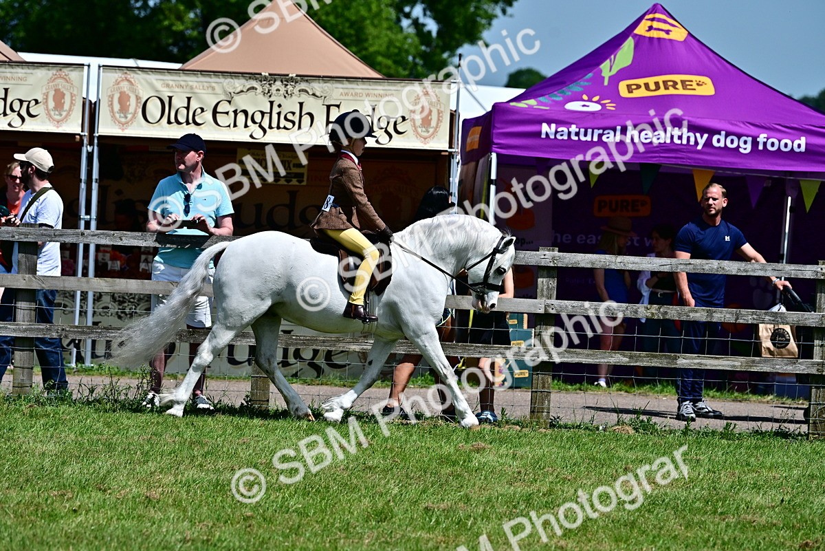 SBM_06022 - Class 59-60 - TSR M&M  Lear Rein and First Ridden Amateur of the year