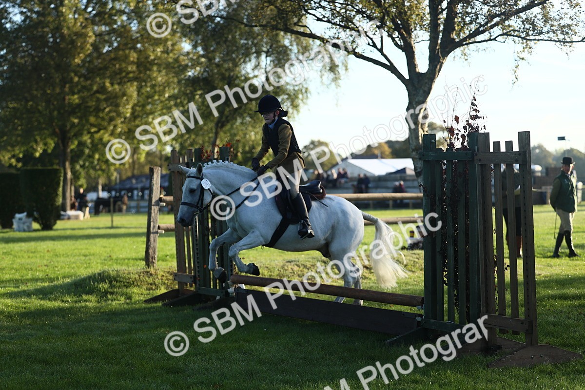 SBM_37127 - S29 - Novice & Newcomers Working Hunter Pony