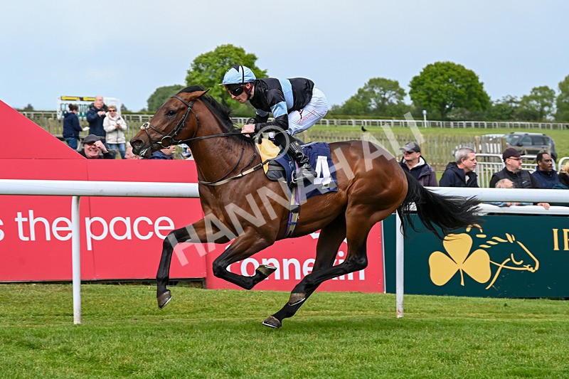 120526-Race 2-Ronson-7536 - Race 2 3.00pm Ire-Incentive, It Pays To Buy Irish