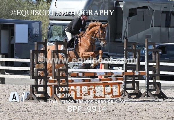 BPP_9914 - CLASS 19 SUN Senior British Novice/ 90cm Open