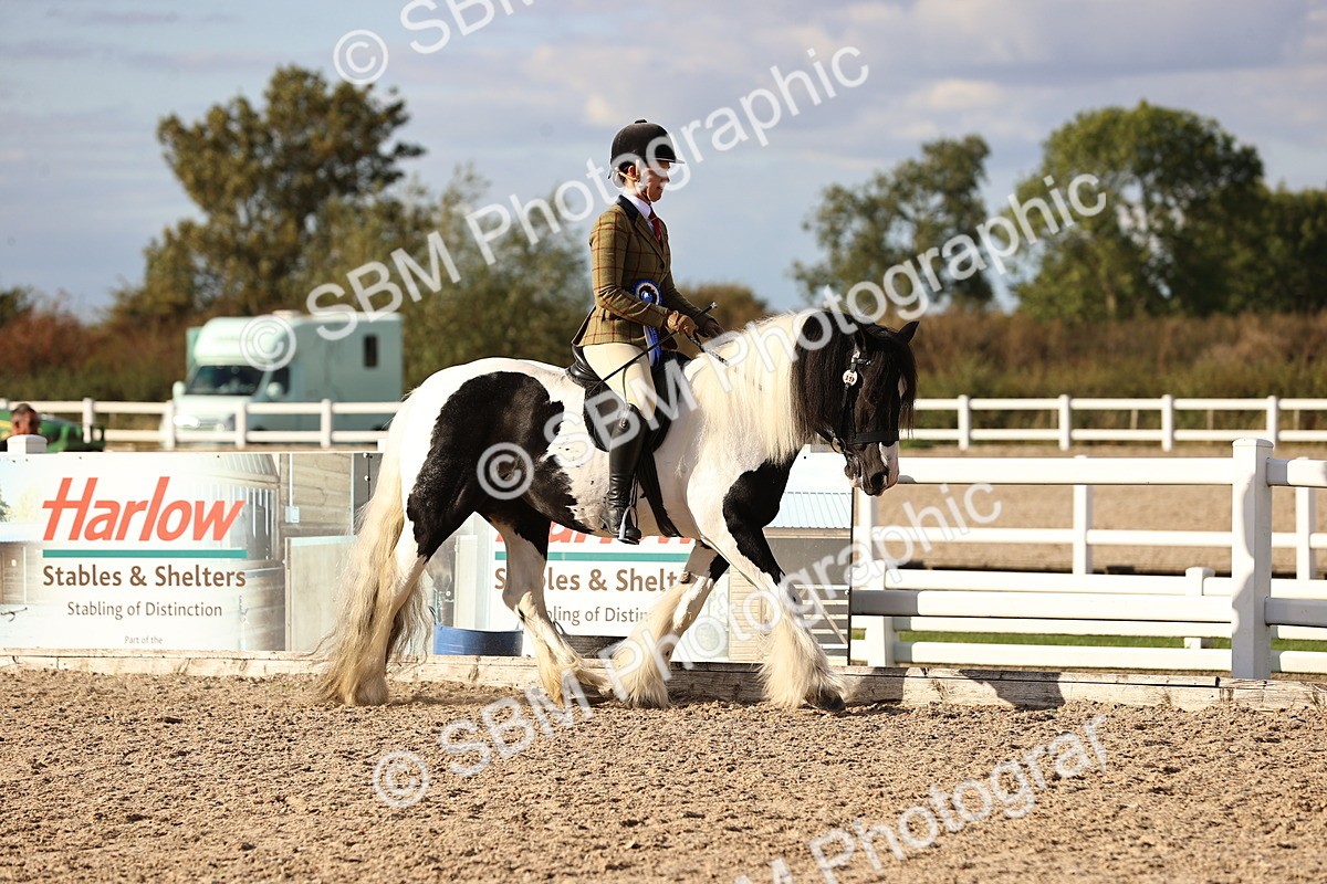 SBM_18299 - Class 423 - Equitation (best rider) Adult