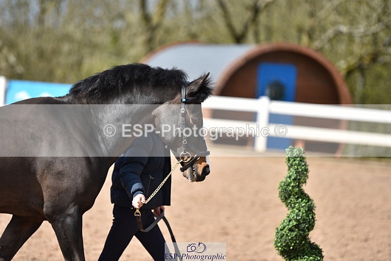 240417A-155652-01036 - 3pm to 4pm