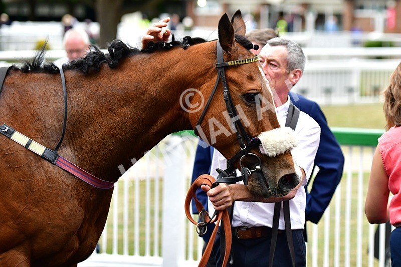 170625-Race 6-Kings Crown-4229 - Race 6