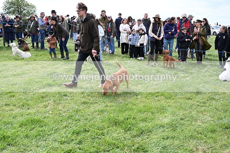 WJ6_8299 - Class 4 Prettiest Bitch