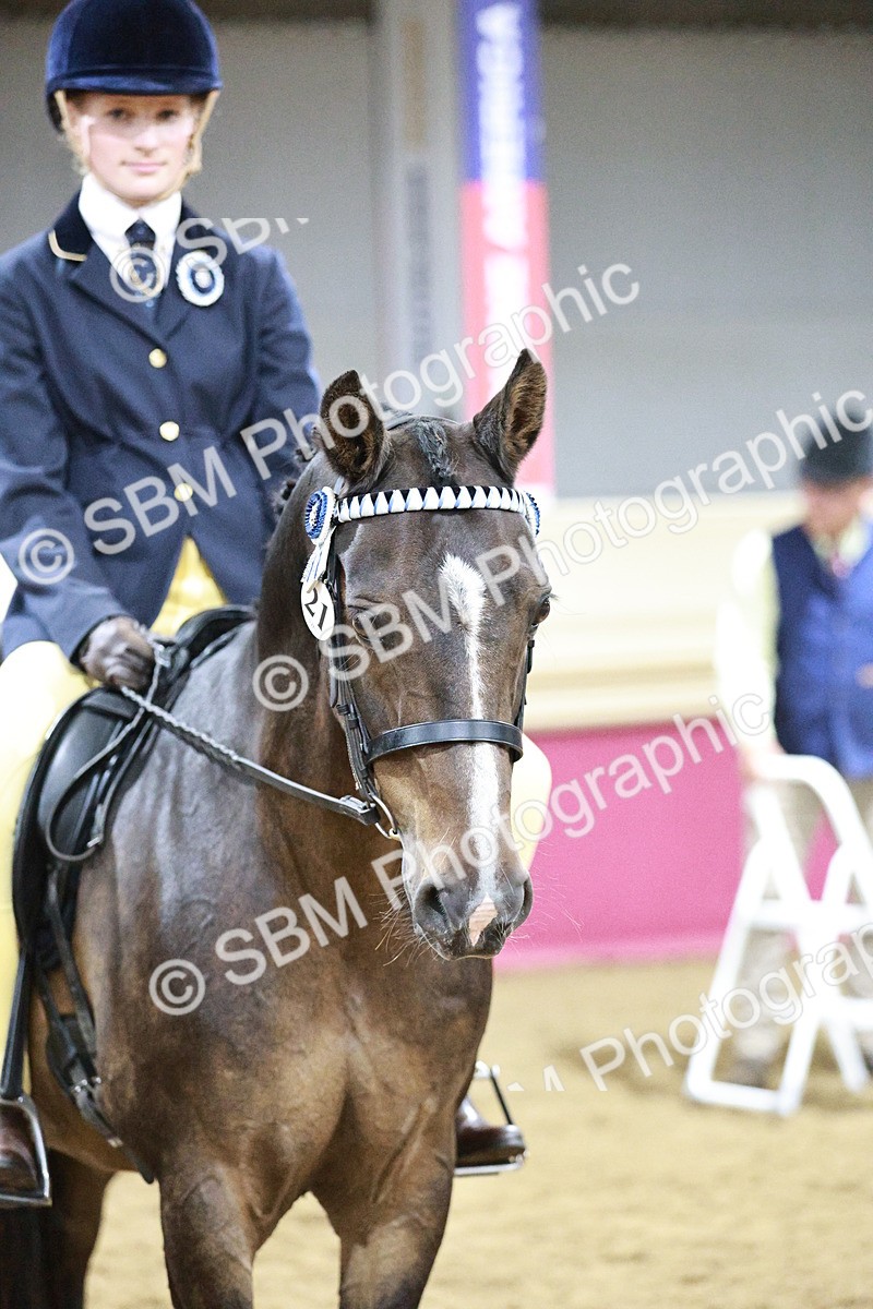 SBM_08082 - Class 11R - Regional Ridden Veteran