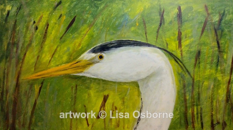 Heron - Animals
