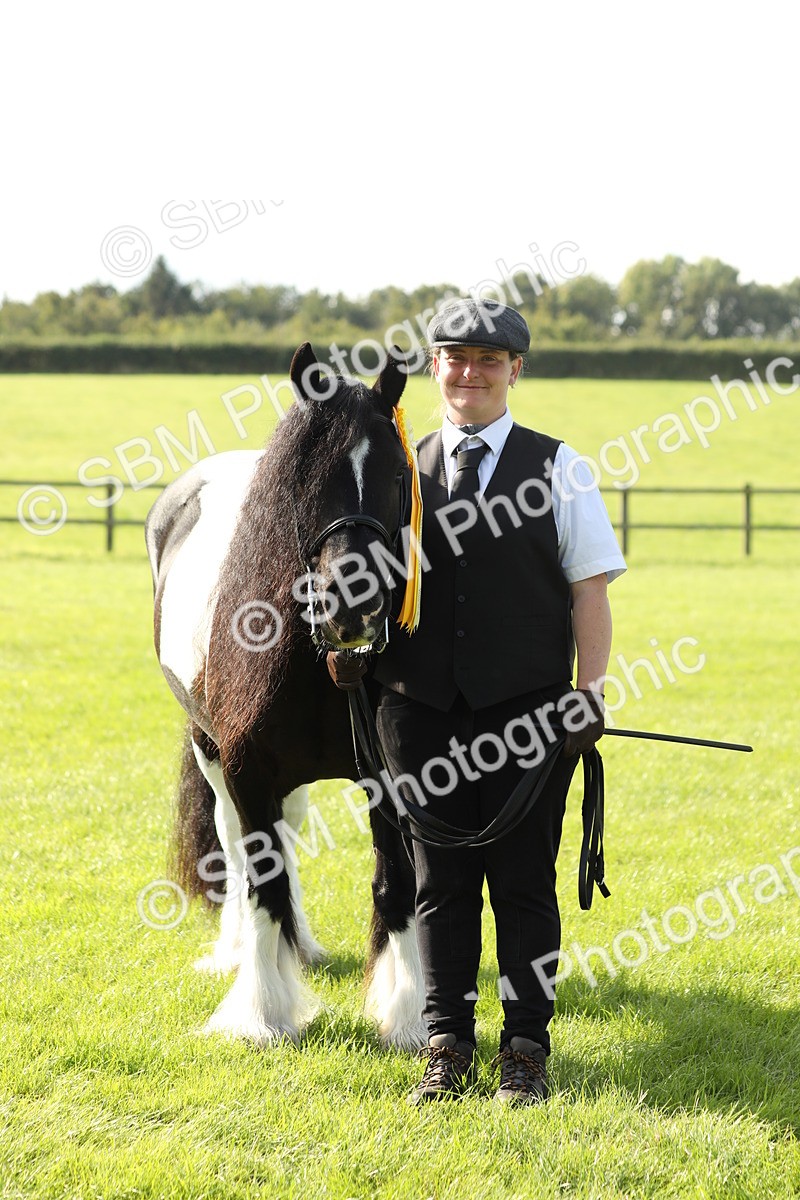 SBM_61010 - S43 - Coloured Pony In Hand