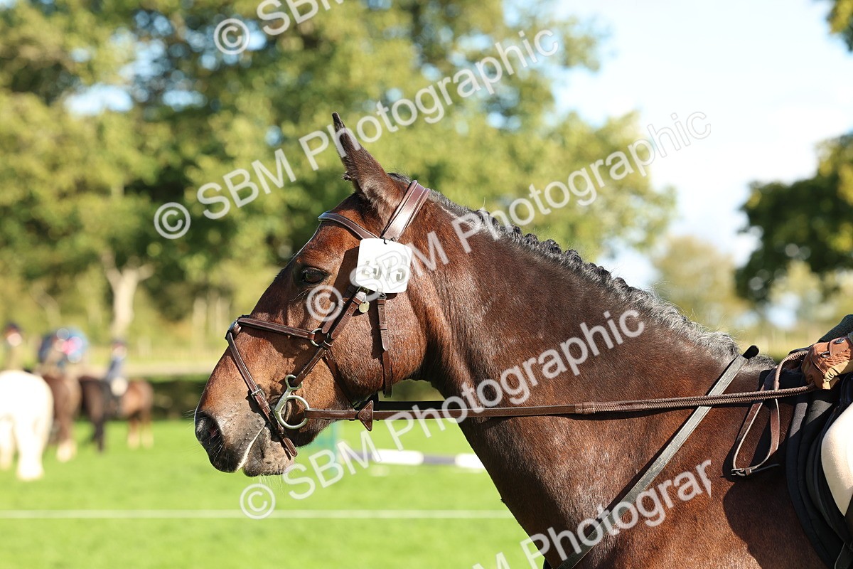SBM_50132 - S34 - Novice & Newcomers Working Hunter