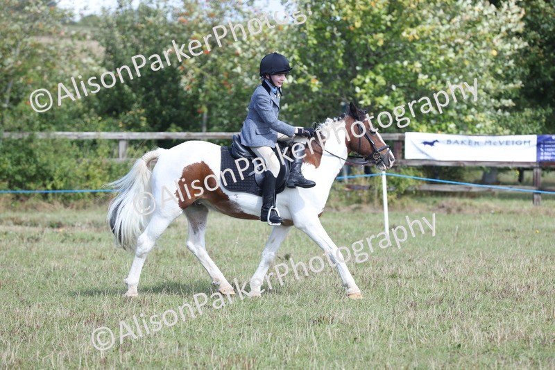 20250831-2469 - Class 16 - Family Pony