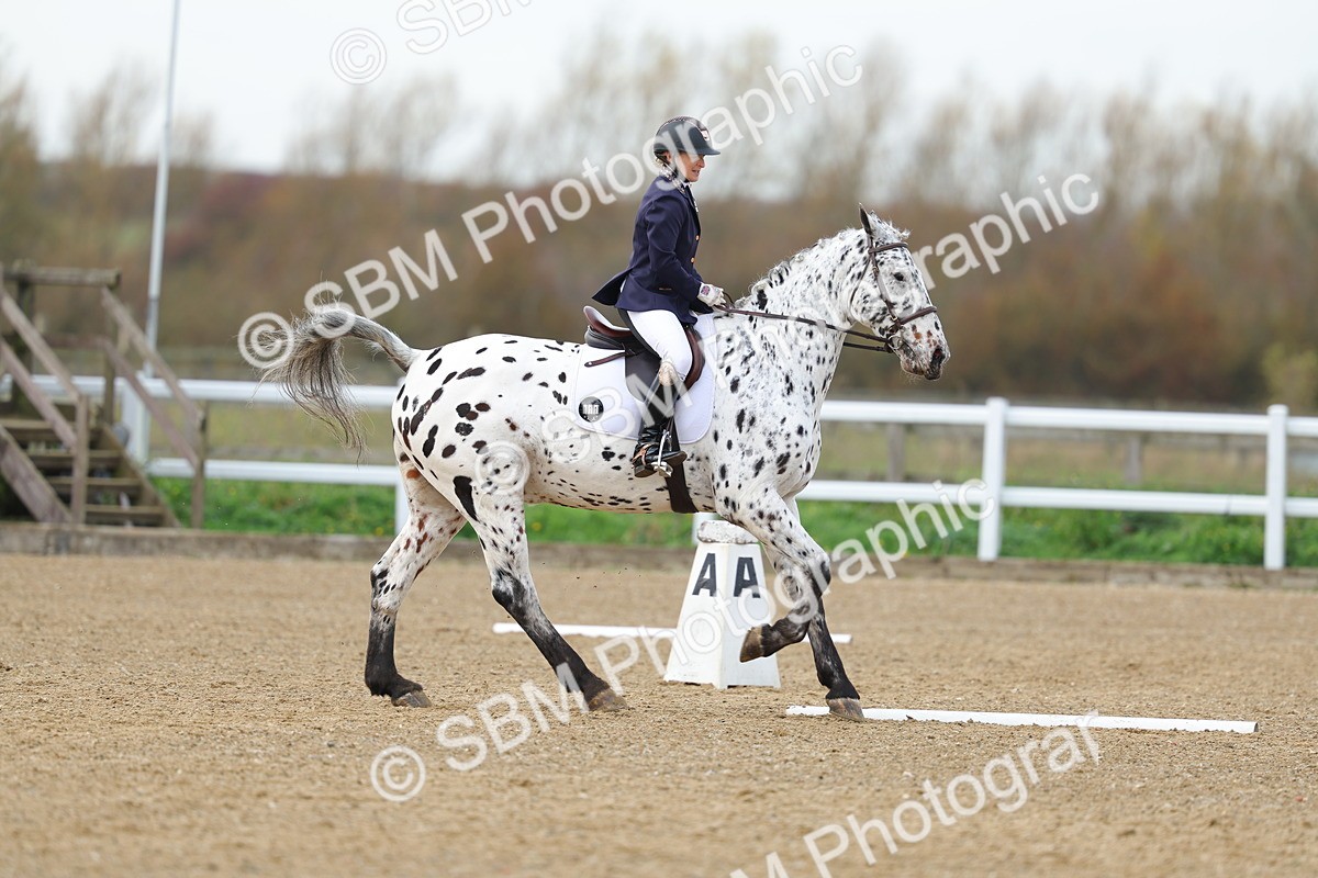 SBM_003877 - Class 9-8-11 - Elementary 1-Novice 4-Elementary 4