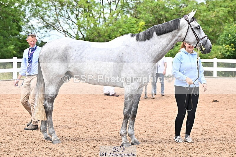 240718A-105323-01924 - Trot Up 2pm to 3pm - This folder is not in time order