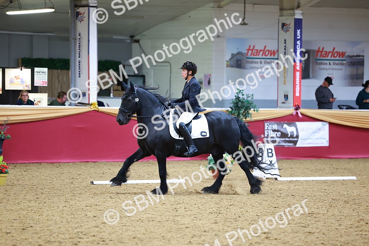 SBM_06594 - Class 61 - Dressage to Music