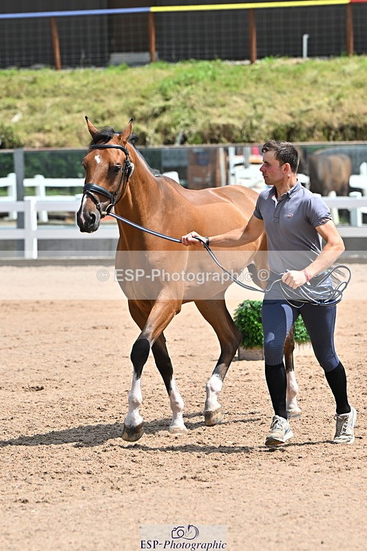 240718A-105305-01545 - Trot Up 1pm to 2pm