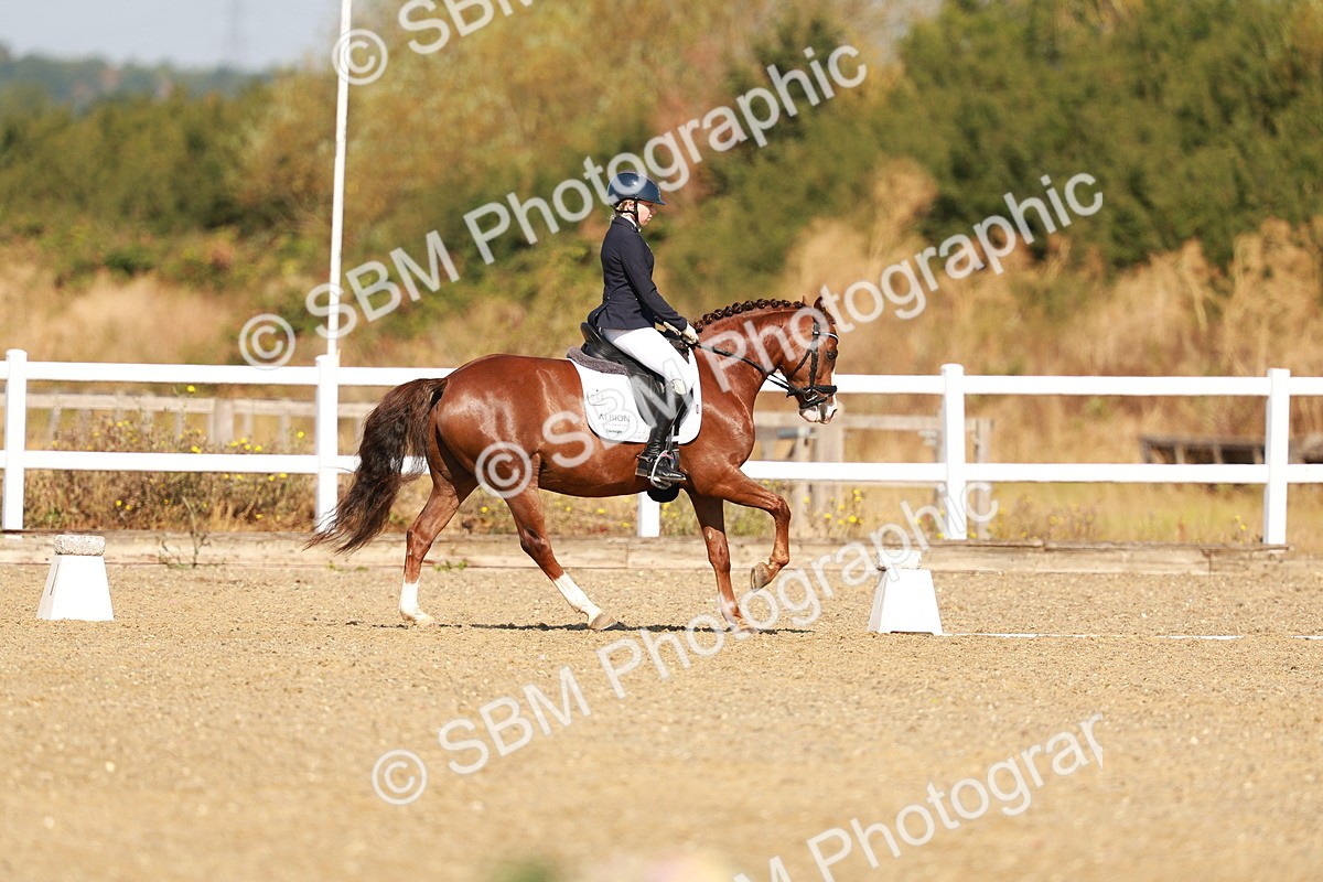 SBM_016803 - Class 9 - N5 Bronze 9.30.10.19