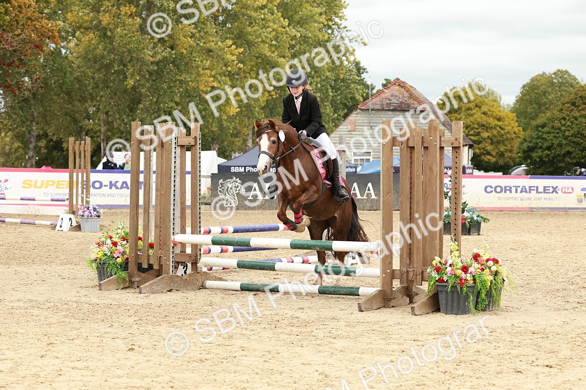 SBM_67087 - J13 - Junior Pony 60cm Championship