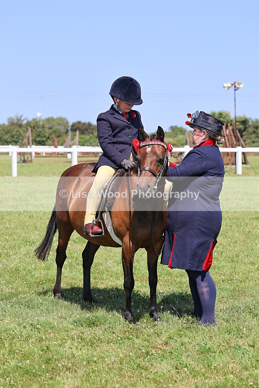 IMG_2194 - Class 36: Part Bred Ridden M & M