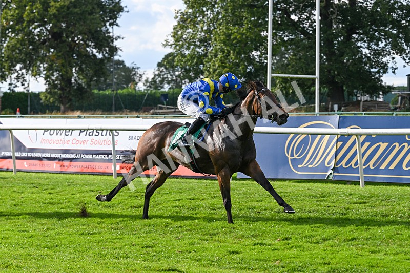 140926-Race 5-Mo Anam Chara-7526 - Race 5 4.21pm decronhorsecare.co.uk Handicap