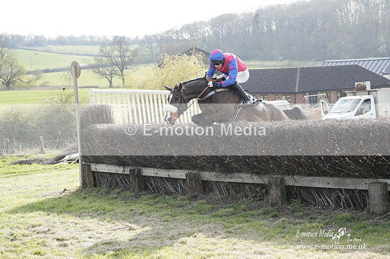 PtP 080423 829 - Dingley Races The Woodland Pytchley Hunt PtP 08/04/23