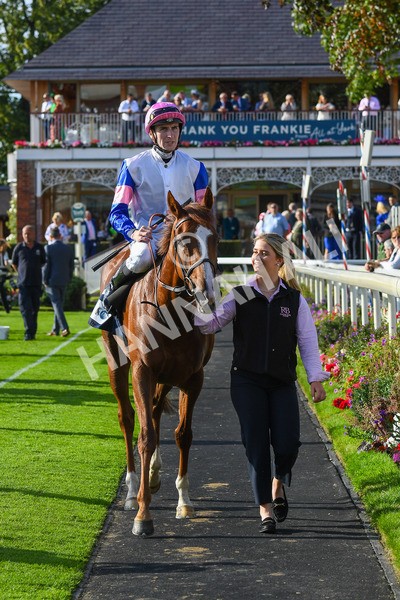 240823-Race 7-Nigiri-0907 - Race 7 5.20pm British EBF 40th Anniversary Fillies' Handicap