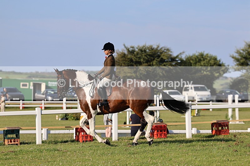 IMG_1233 - Class 27: Ridden Plaited Coloured Horse