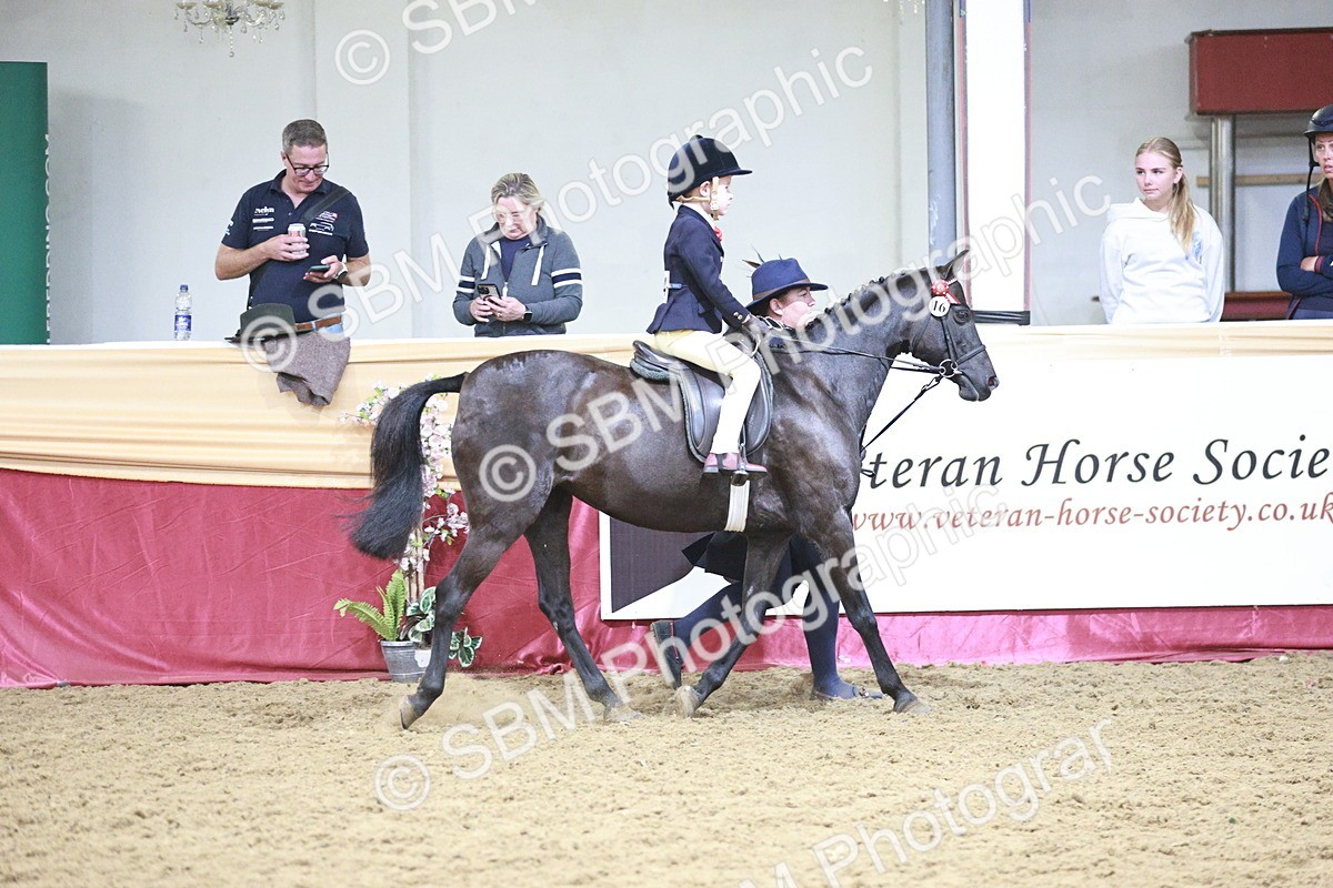 SBM_03349 - Class 6A Area Ridden Pre-Vet