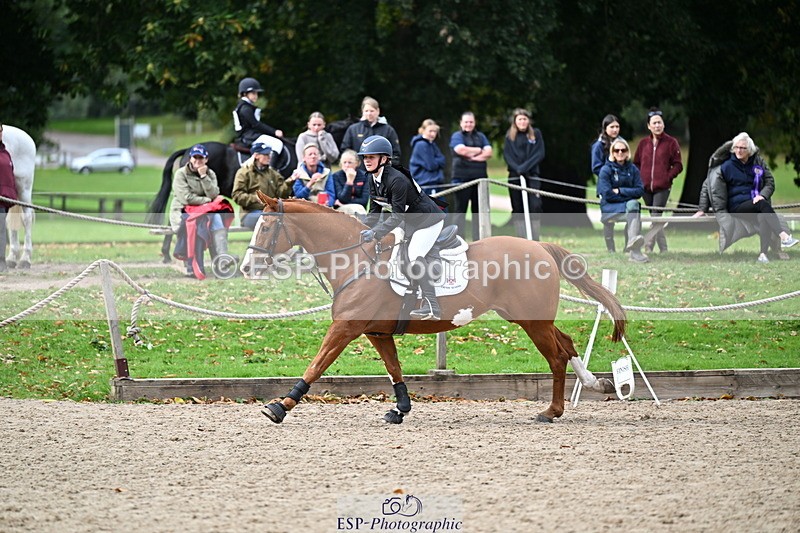 251005A-134002-04124 - Cls 09 Nov 80-85cm