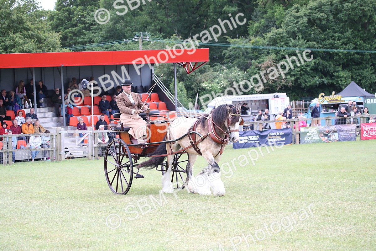 SBM_05661 - Class 12-15 - HOYS Private Driving