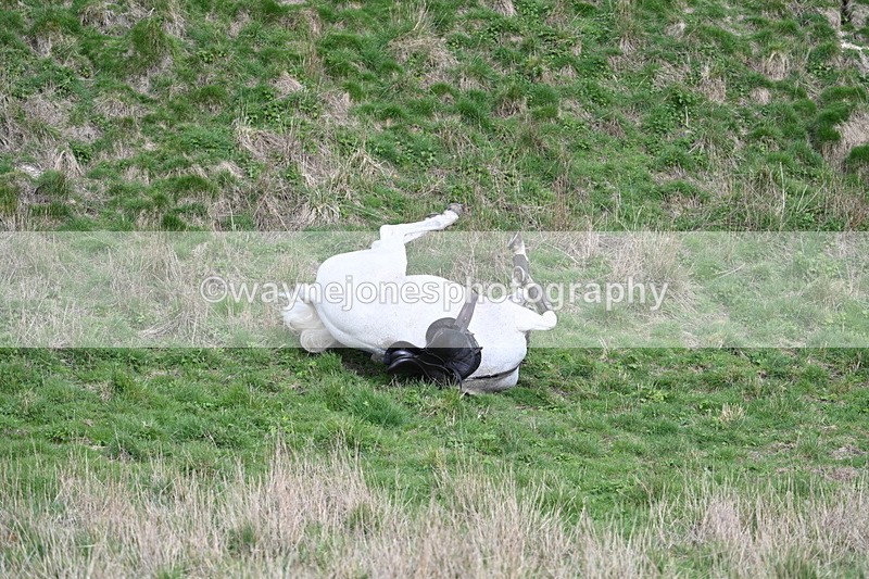WJ7_7915 - Jo Ramage