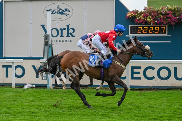 080924-Pony Race-8550 - Pony Race 1.00pm The Dragon (TV and Film) Studios Pony Race 148cm & Under