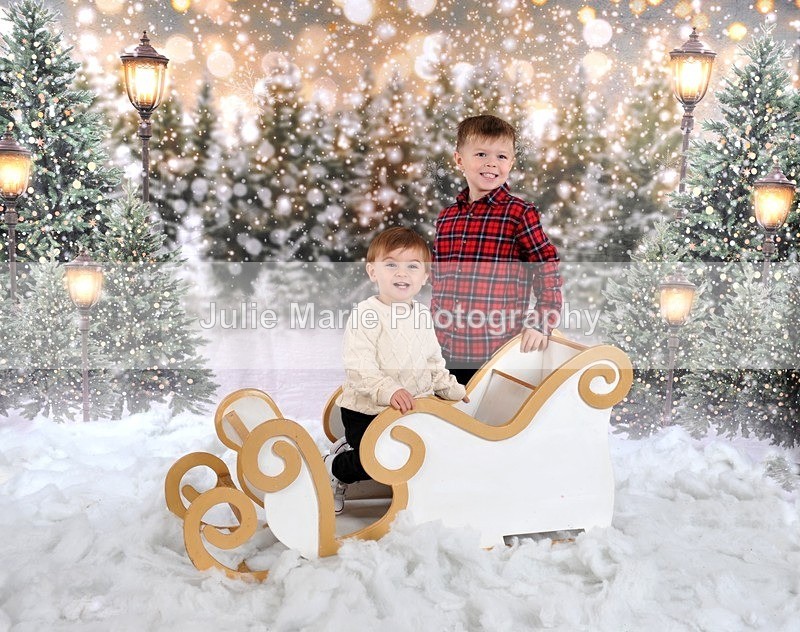 DSC_7489 - shannon ram