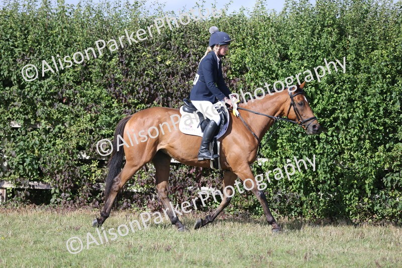 20250831-0957 - Class 14 - Ex Racehorse