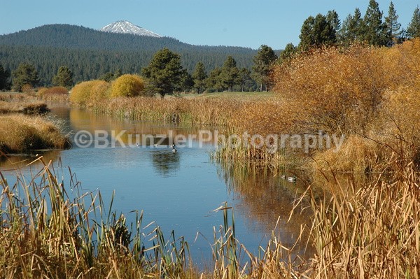  - Oregon