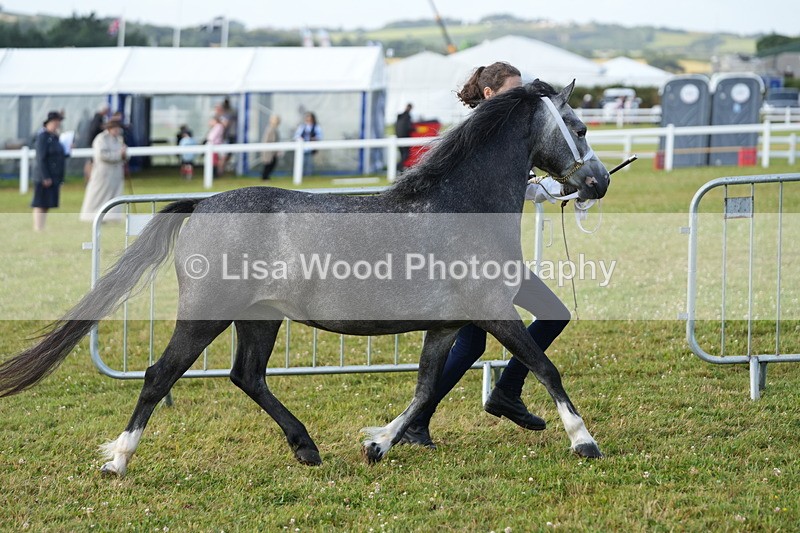 DSC04937 - Class 48: NPS M&M 2/3 year olds