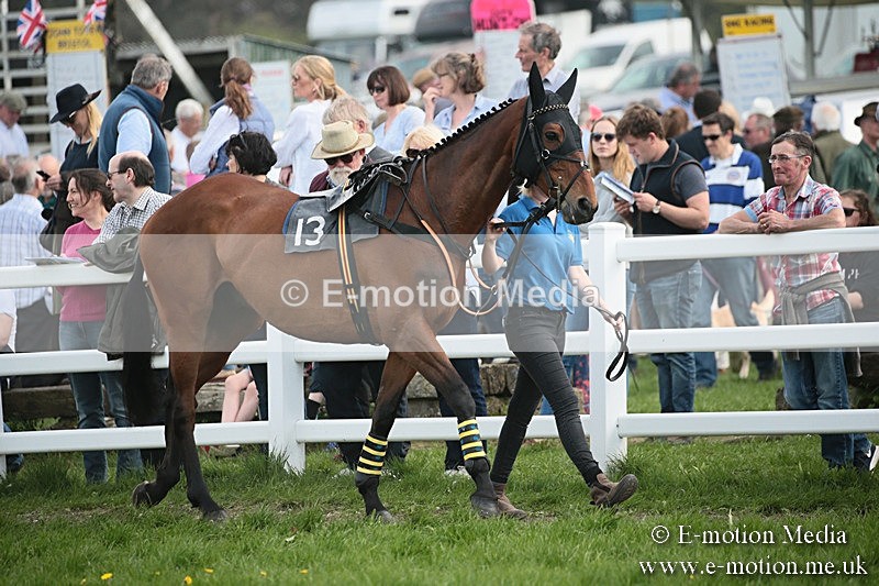 PtP 210418 308 - South & West Wilts Point-to-Point Larkhill 21/04/18