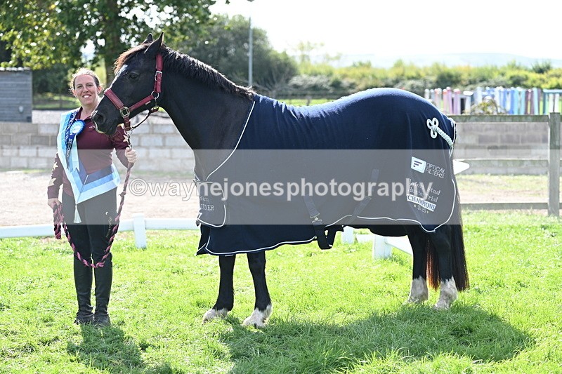 WJ7_1736 - 80cm Champs