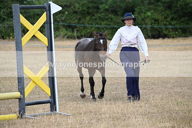 WJ6_8052 - Class 10 Coloured in Hand