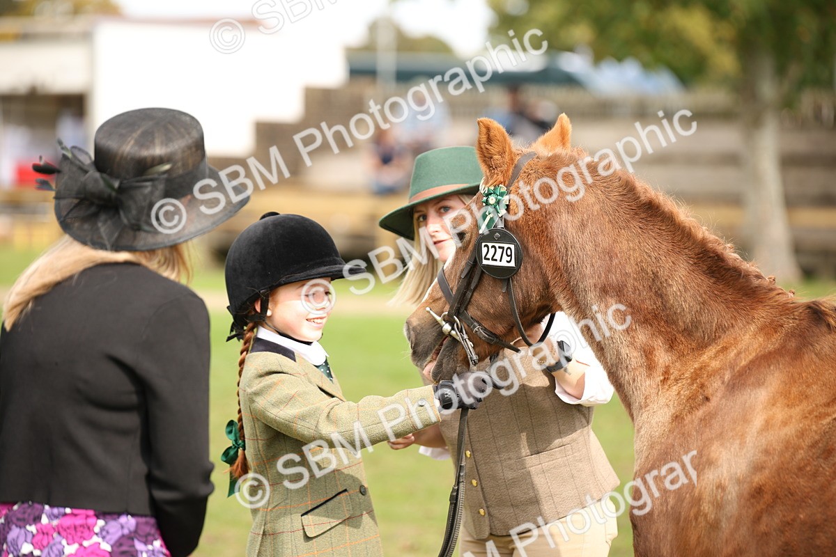 SBM_46347 - S25 - Mature Veteran In Hand