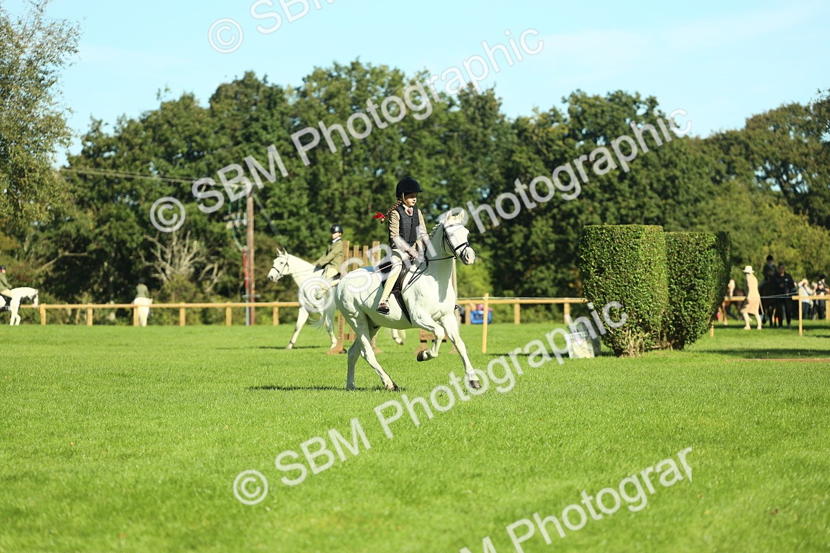 SBM_37494 - S29 - Novice & Newcomers Working Hunter Pony