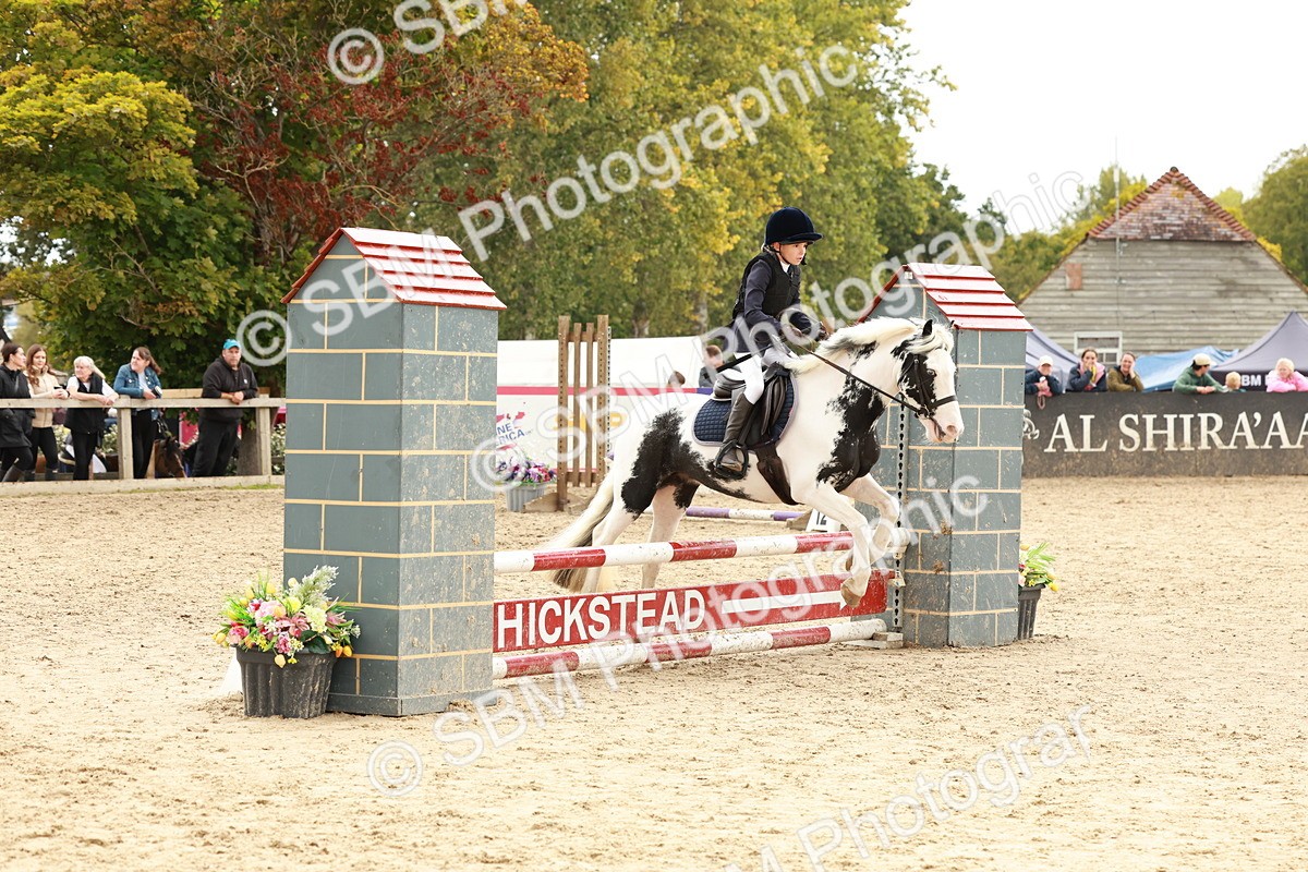 SBM_62141 - J12 - Junior Pony 55cm Championship