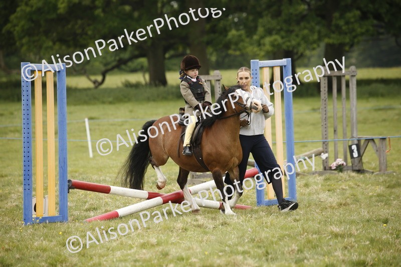 20250517-0131 - Class 1 - 30cm On Lead Rein