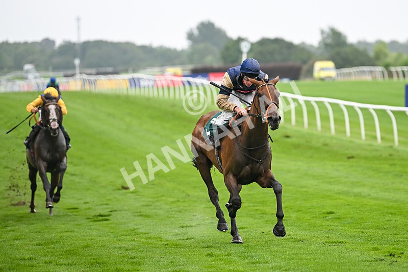 230725-Race 5-Bosphorus Rose-0464 - Race 5