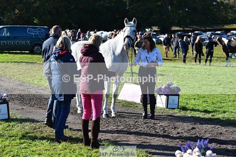 231022-110648-23731 - 437-DONBEG.GREY-Hannah.Underhill-TrotUp+SJ