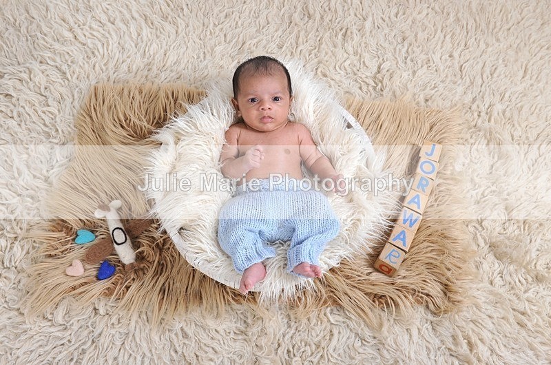 DSC_0962 - Taran