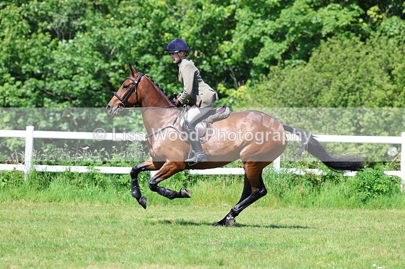 3E7A6991 - Class 30: Novice Working Hunter