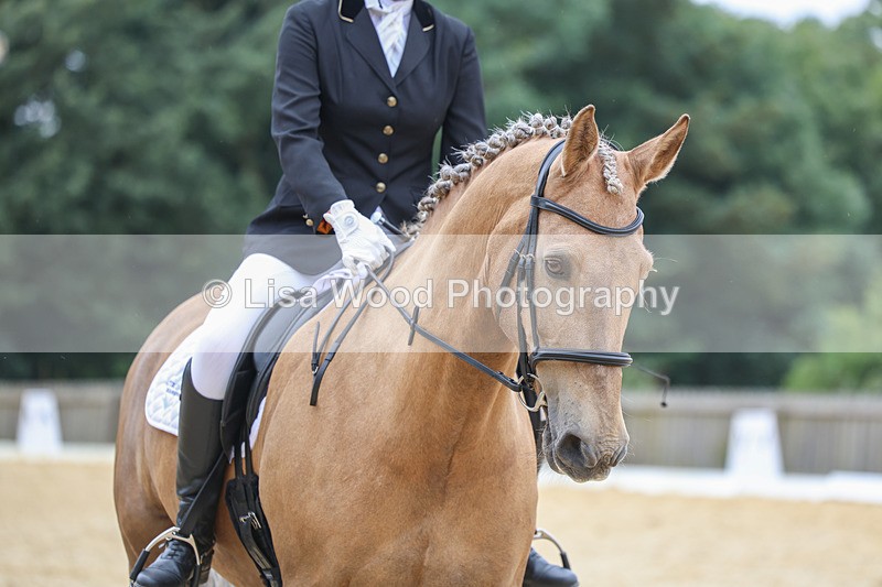 3E7A6359 - Class 4: Prelim 4 2024 - Section B