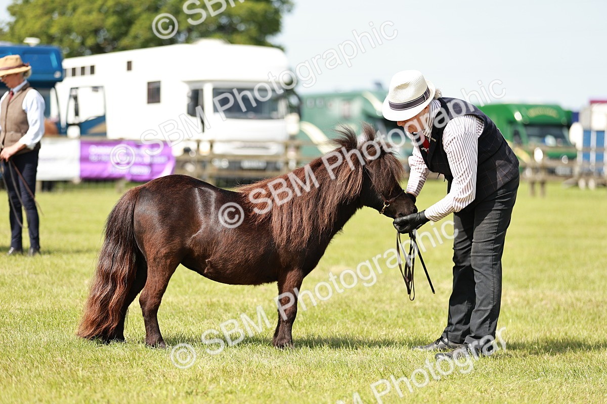 SBM_01906 - Class 14-23 - Mountain & Moorland In Hand Non Welsh