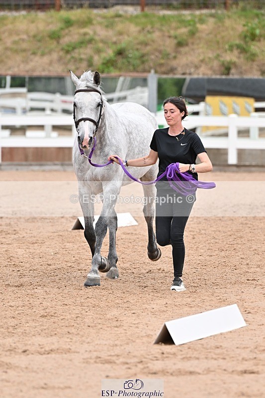 250716-143510-01227 - Trot Up 2.30 to 3.30