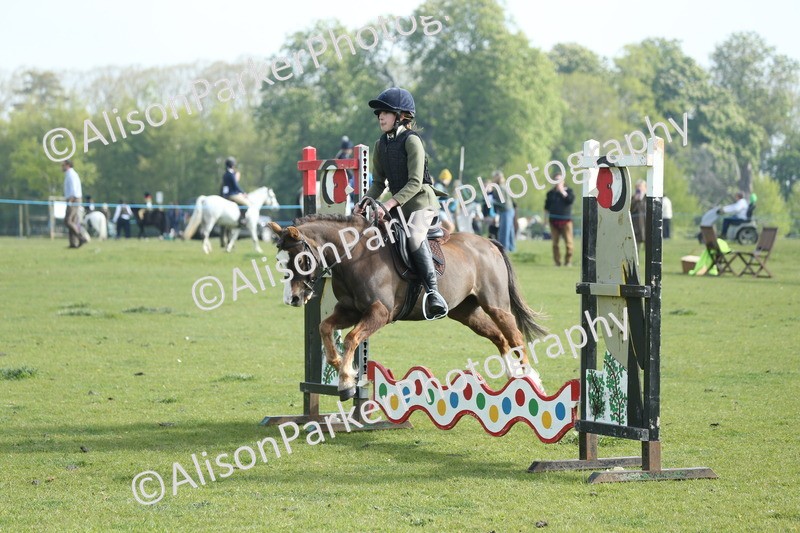 20260426-0044 - Class 13 - Rookie Jumping 50cm
