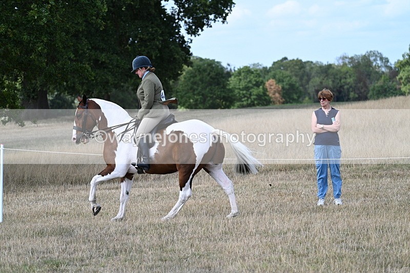 WJ7_6986 - Class 14 Ridden Coloured